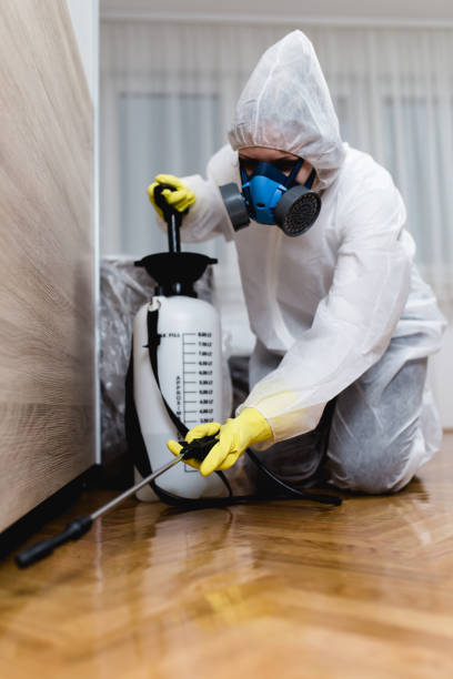 Best Pest Exclusion Services  in Brooklawn, NJ